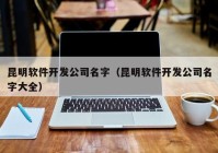 昆明软件开发公司名字（昆明软件开发公司名字大全）