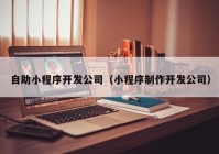 自助小程序开发公司（小程序制作开发公司）